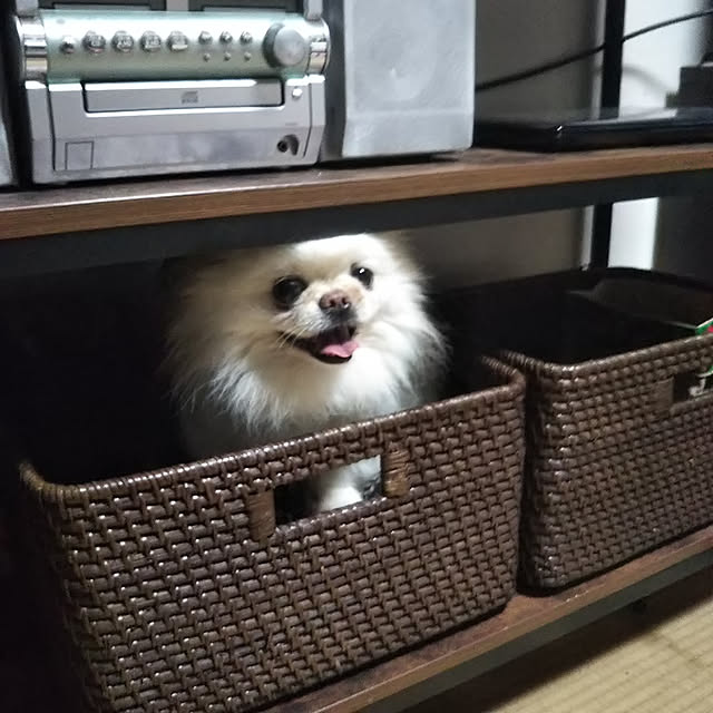 me_ta_815さんの実例写真