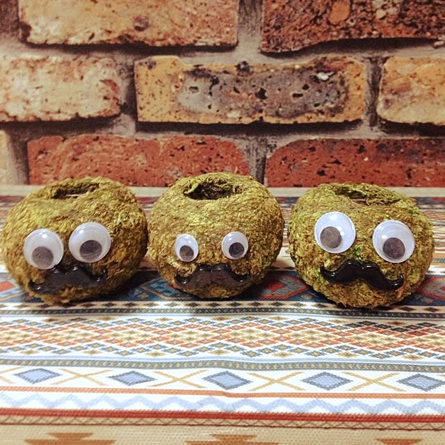 frogさんの実例写真