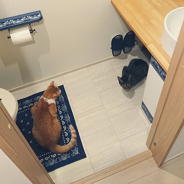 taka-kiさんの実例写真