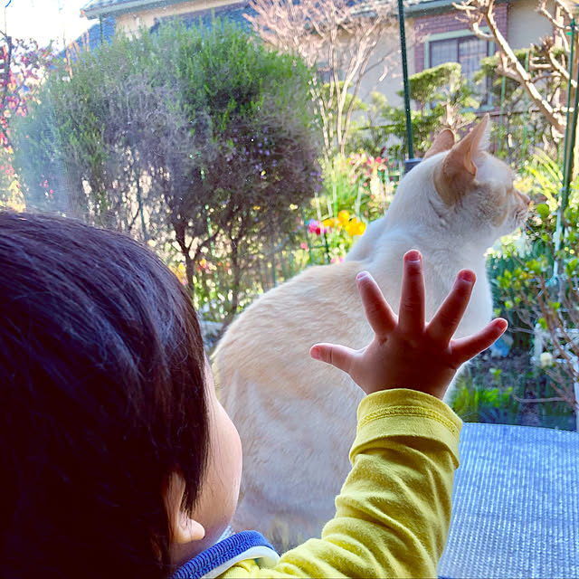 hinamamaさんの実例写真