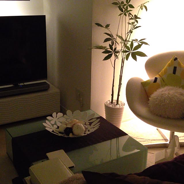 snoooopさんの実例写真