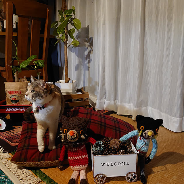 fukuさんの実例写真