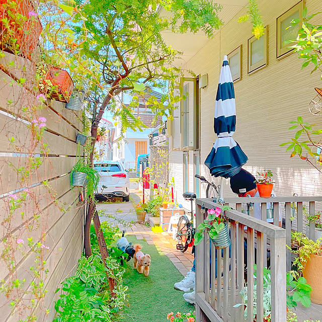 risaさんの実例写真