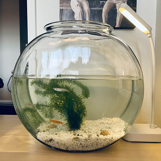sachiさんの部屋