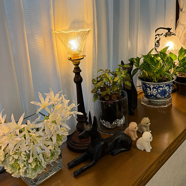 mamizaさんの部屋