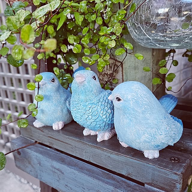 mocomocoさんの部屋