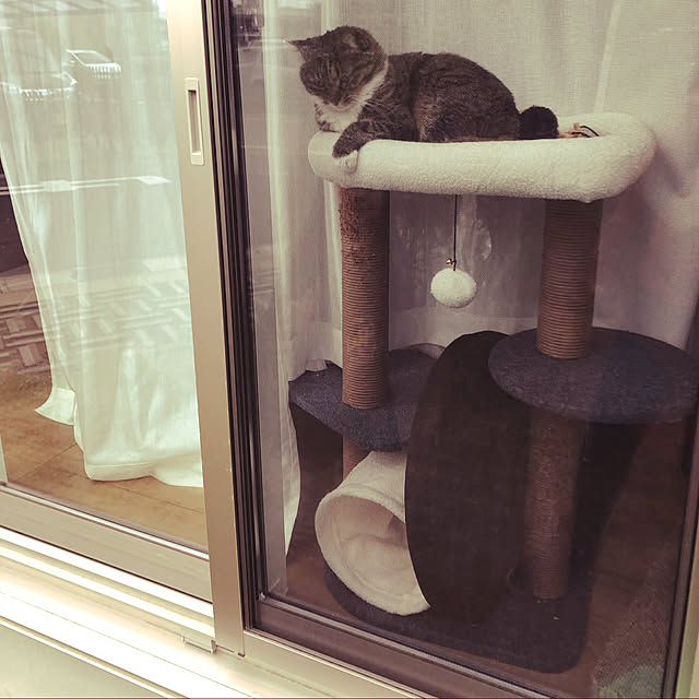 RuRuさんの実例写真