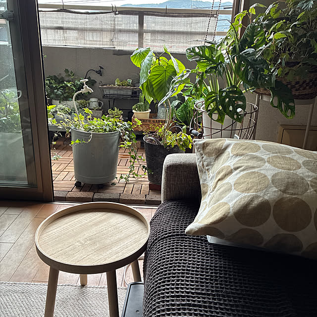 cagosukiさんの実例写真