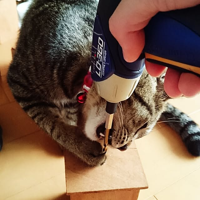 mono_plantさんの実例写真