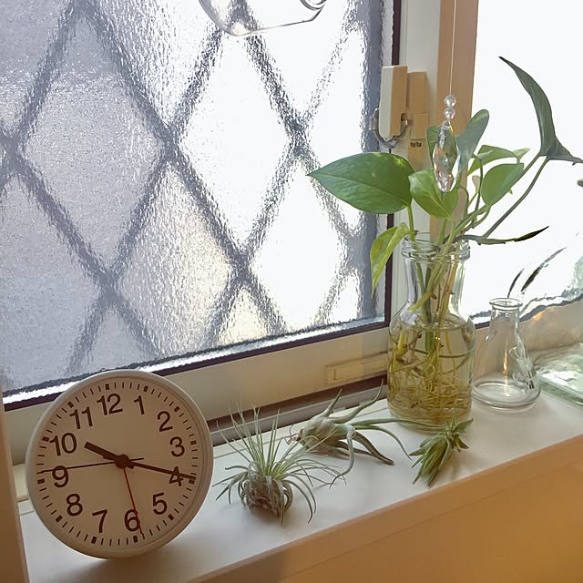 moppoさんの実例写真