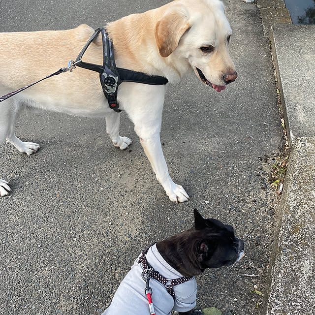 kotaroさんの部屋