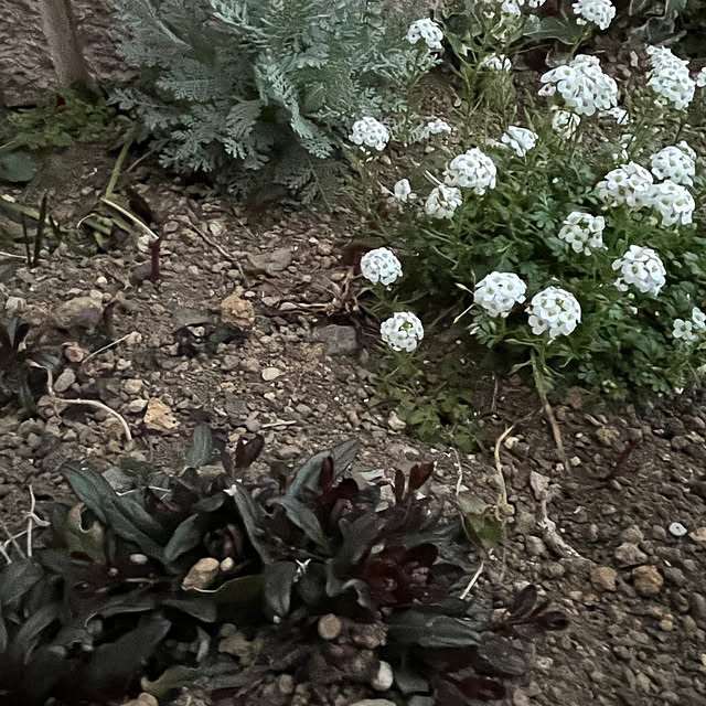 yuuumyさんの部屋