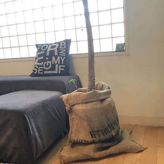 manor.nrkさんの実例写真