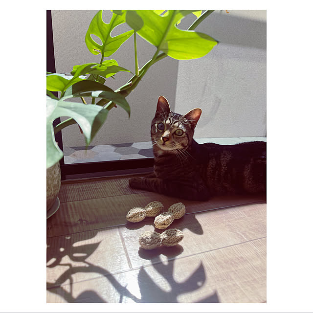 BTGさんの実例写真