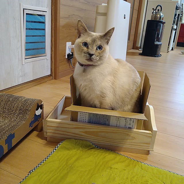 kiyohima229さんの部屋