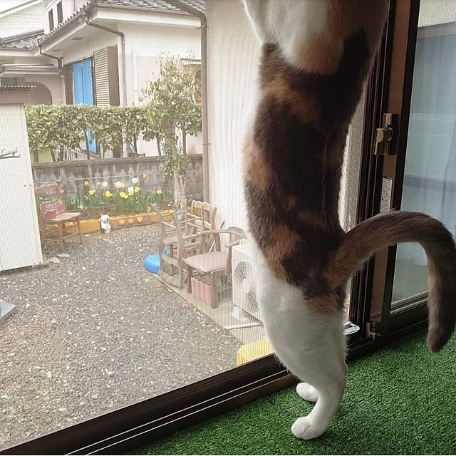 fukuさんの部屋