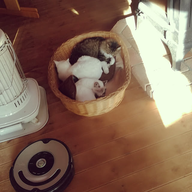 Maki-nekomamireさんの実例写真