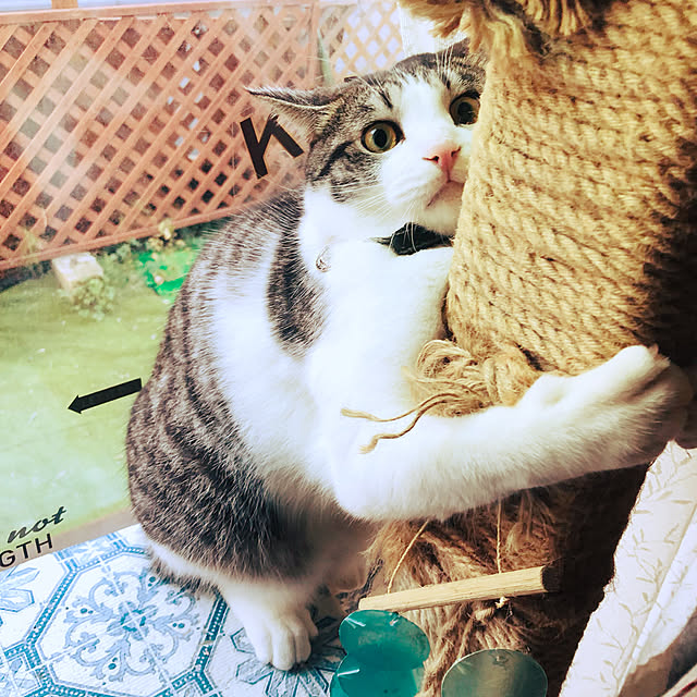 karua.0214さんの実例写真