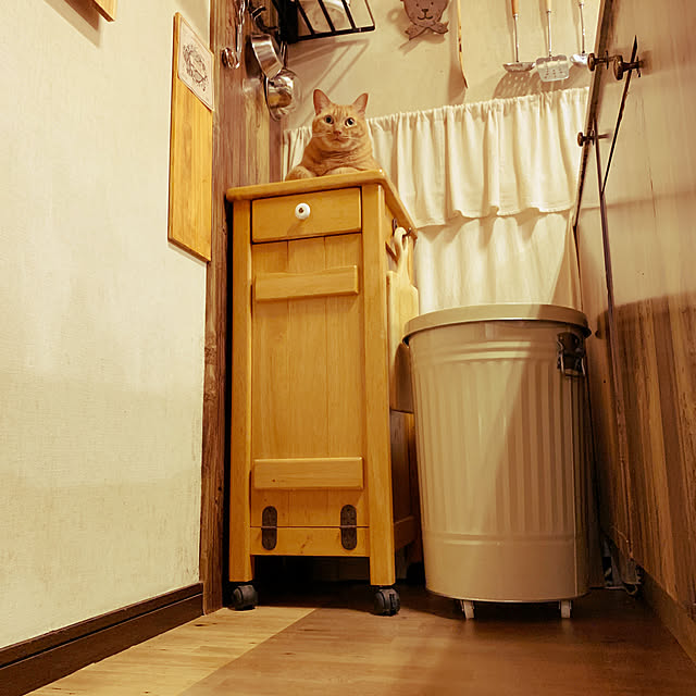 rioさんの実例写真