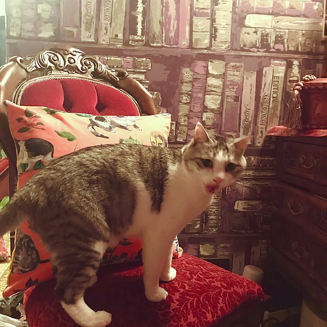 emmyyさんの実例写真