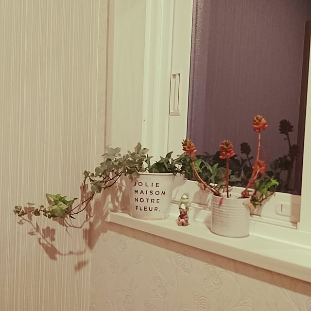atsumiさんの実例写真