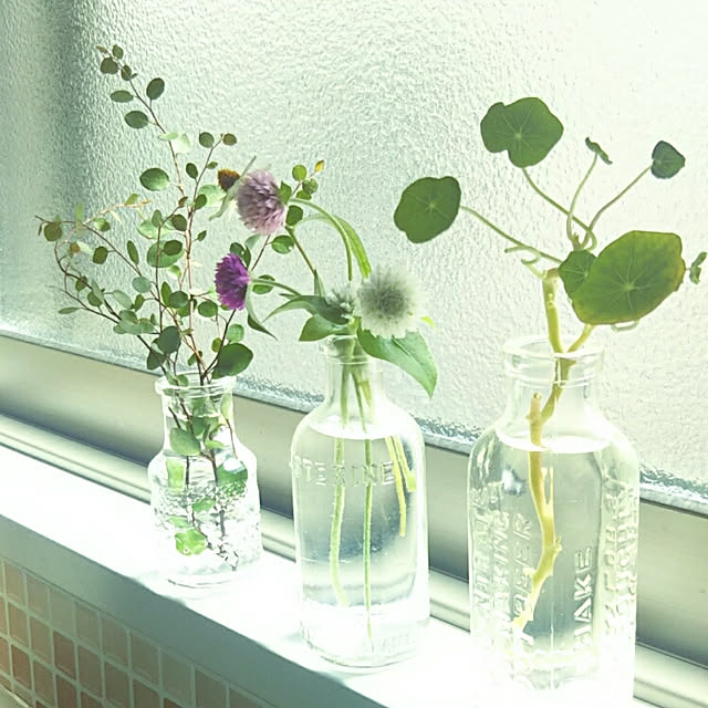 hi-yaさんの実例写真