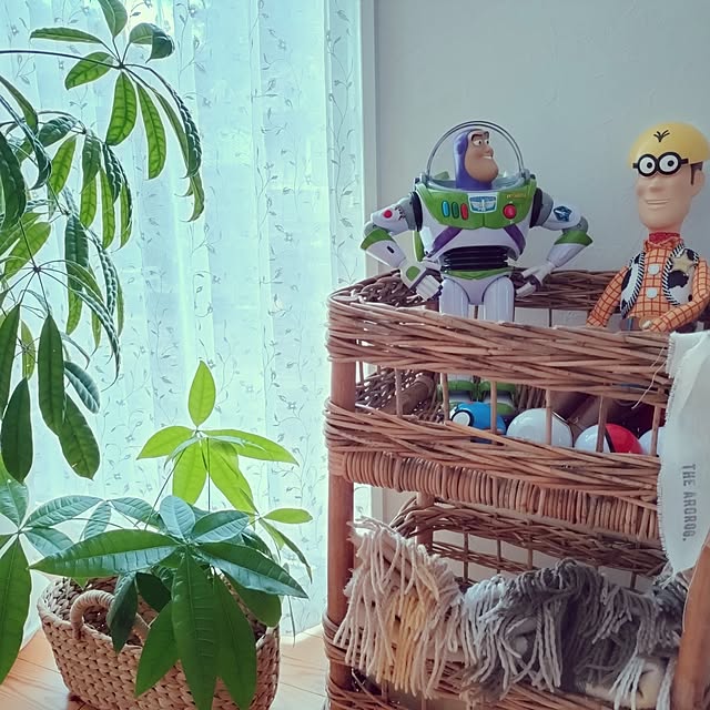 ri-eさんの実例写真