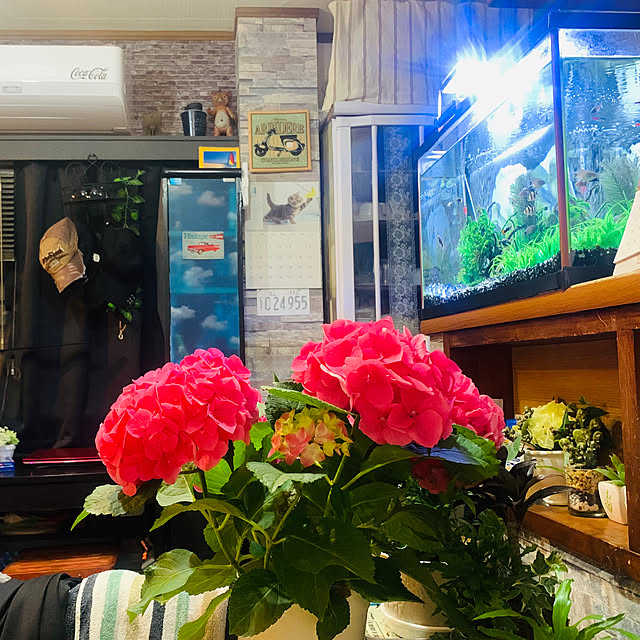tututu0204さんの部屋