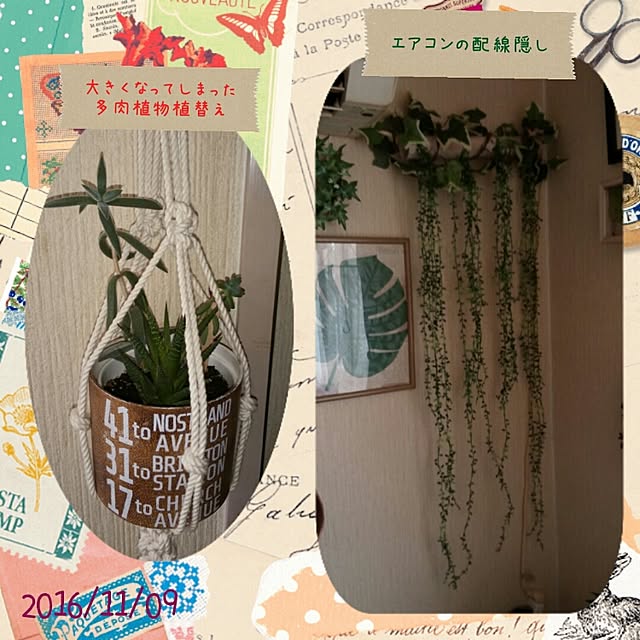 Yumiさんの実例写真
