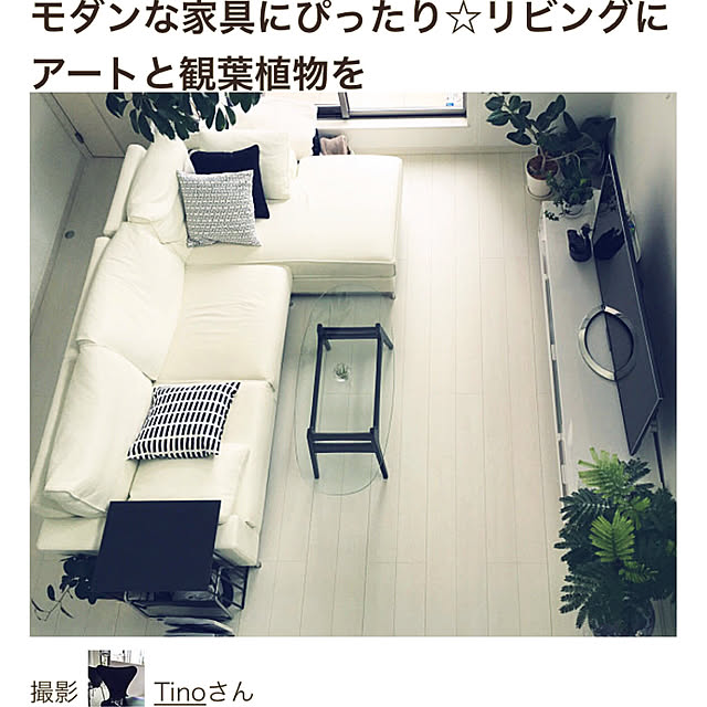 Tinoさんの実例写真