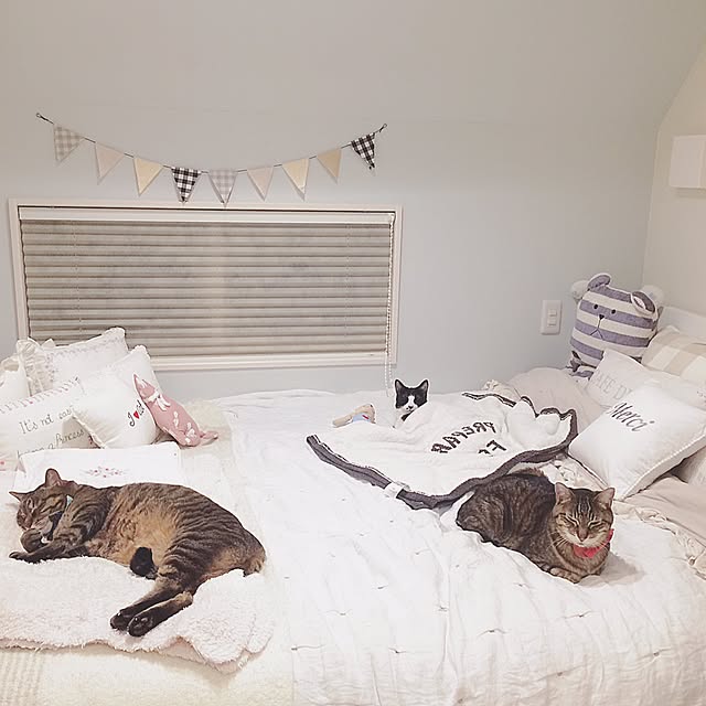 lovecatさんの実例写真