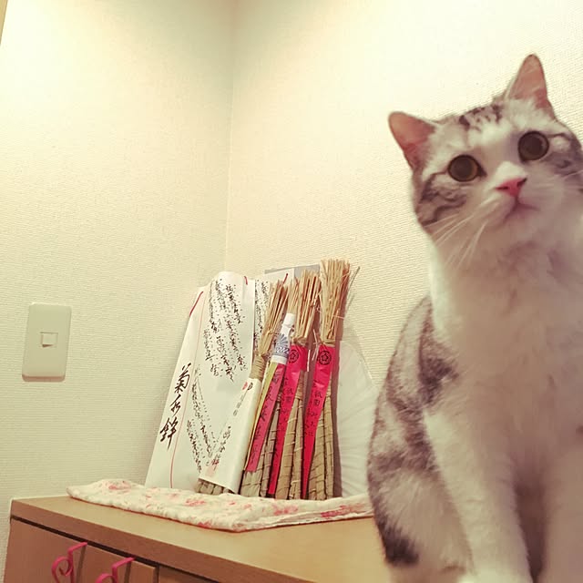 narashimhaさんの実例写真