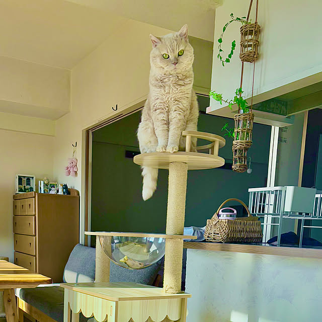 naokoさんの部屋