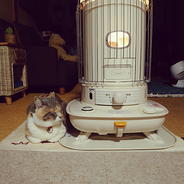 fukuさんの実例写真