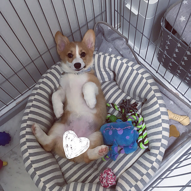 3ayuさんの実例写真