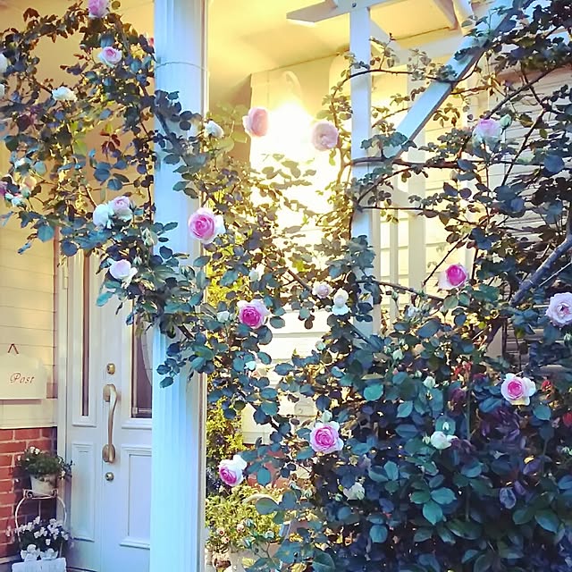 s.mamaさんの実例写真
