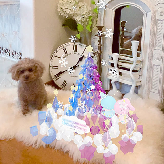 Momoさんの実例写真