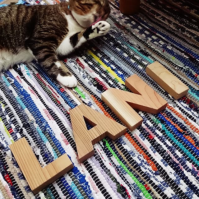 Lukiさんの実例写真