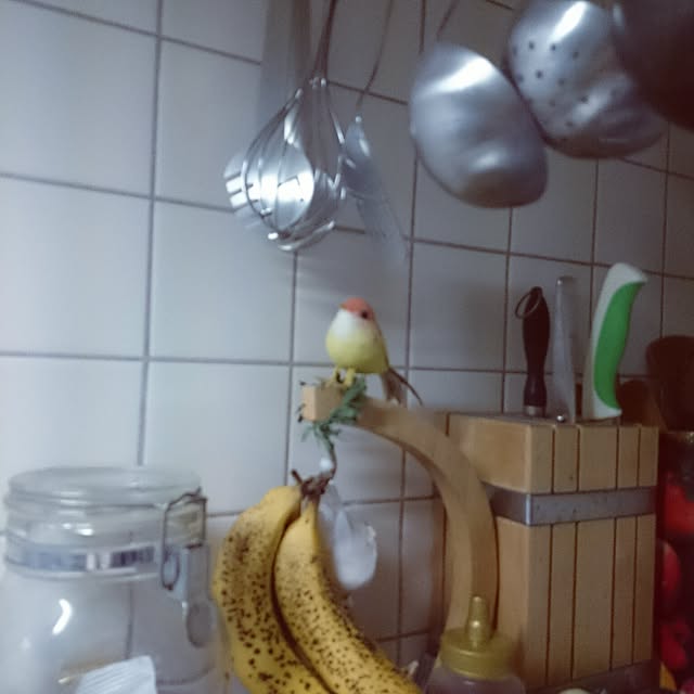 mikrockさんの実例写真