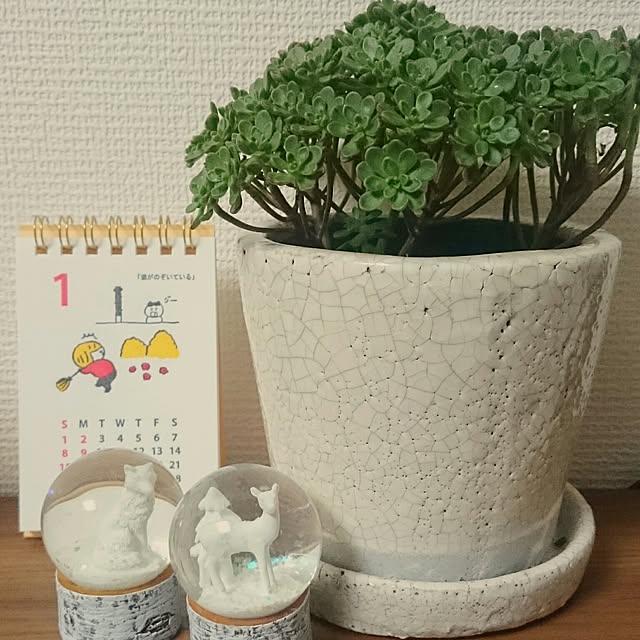 kinglyさんの実例写真