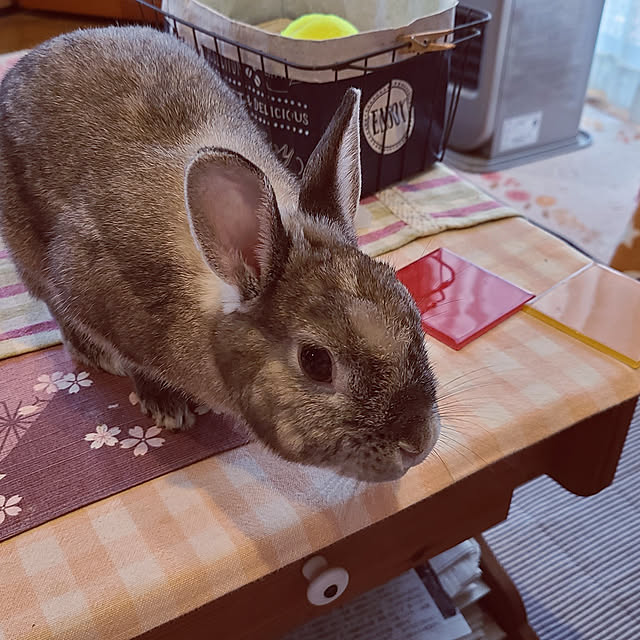 SHOさんの実例写真
