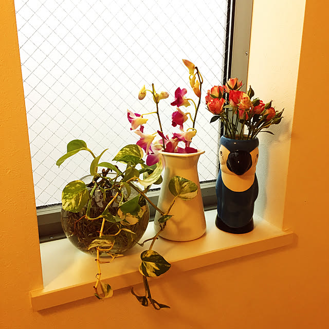観葉植物/ガーデニング/階段/部屋全体のインテリア実例 - 2020-02-09 15:59:54