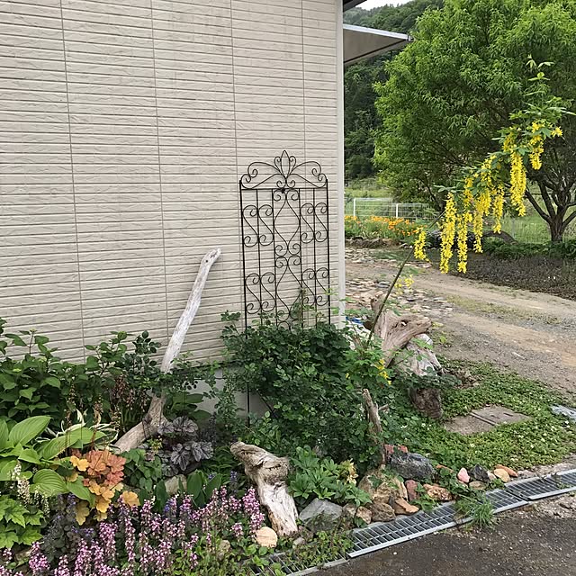 pepeさんの実例写真