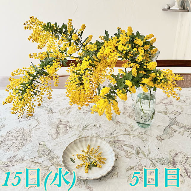 Re_さんの部屋