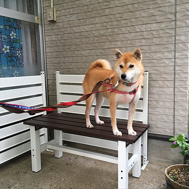 kyukoさんの実例写真