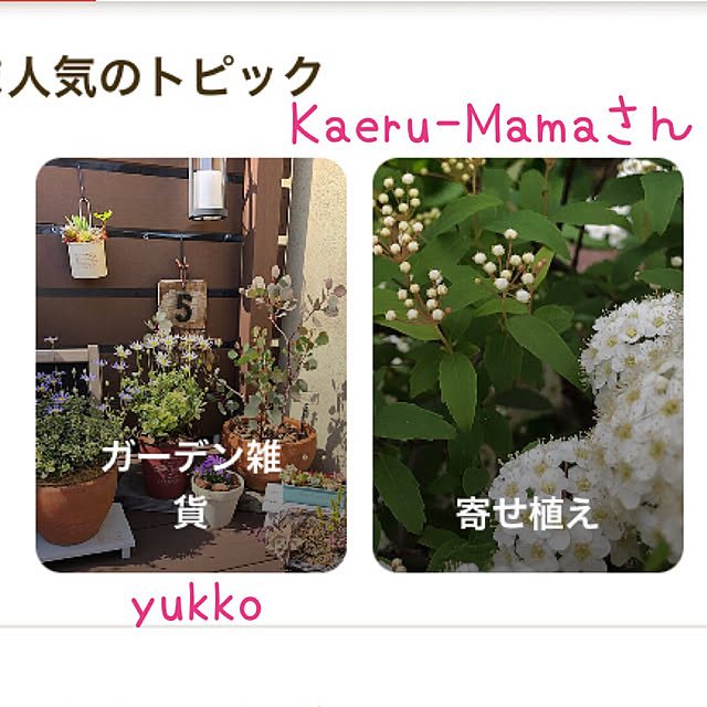 yukkoさんの実例写真