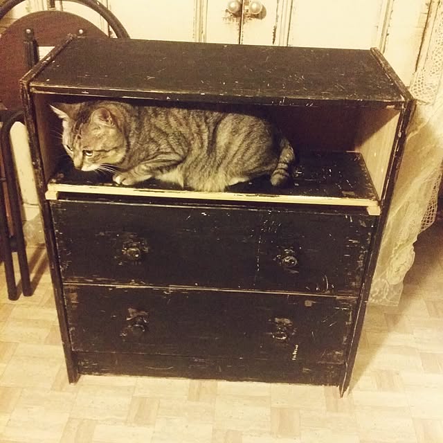 annさんの実例写真