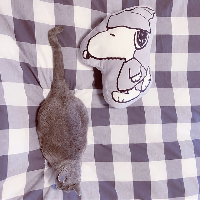 snoopyさんの実例写真