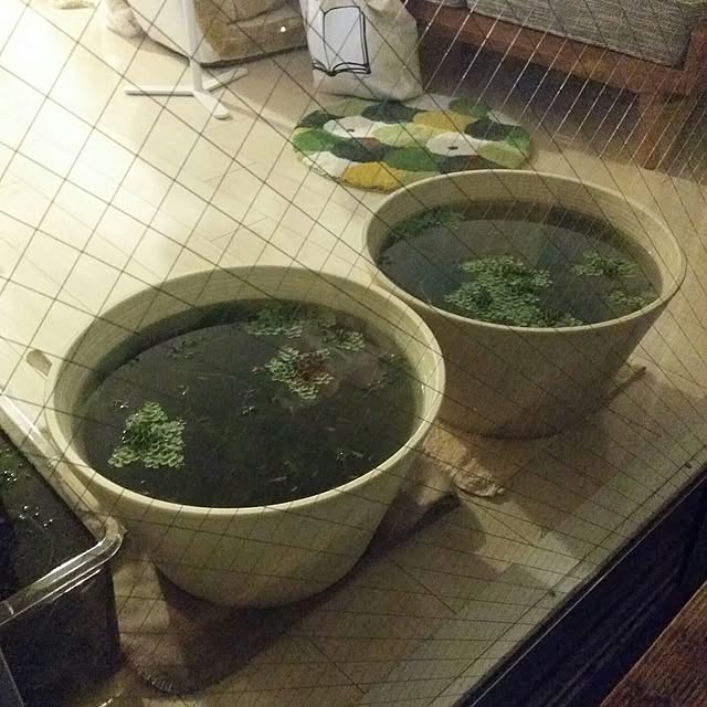 m-kinocoさんの実例写真
