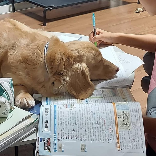 ciiiさんの実例写真